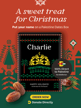 Load image into Gallery viewer, Embroidery - Christmas
