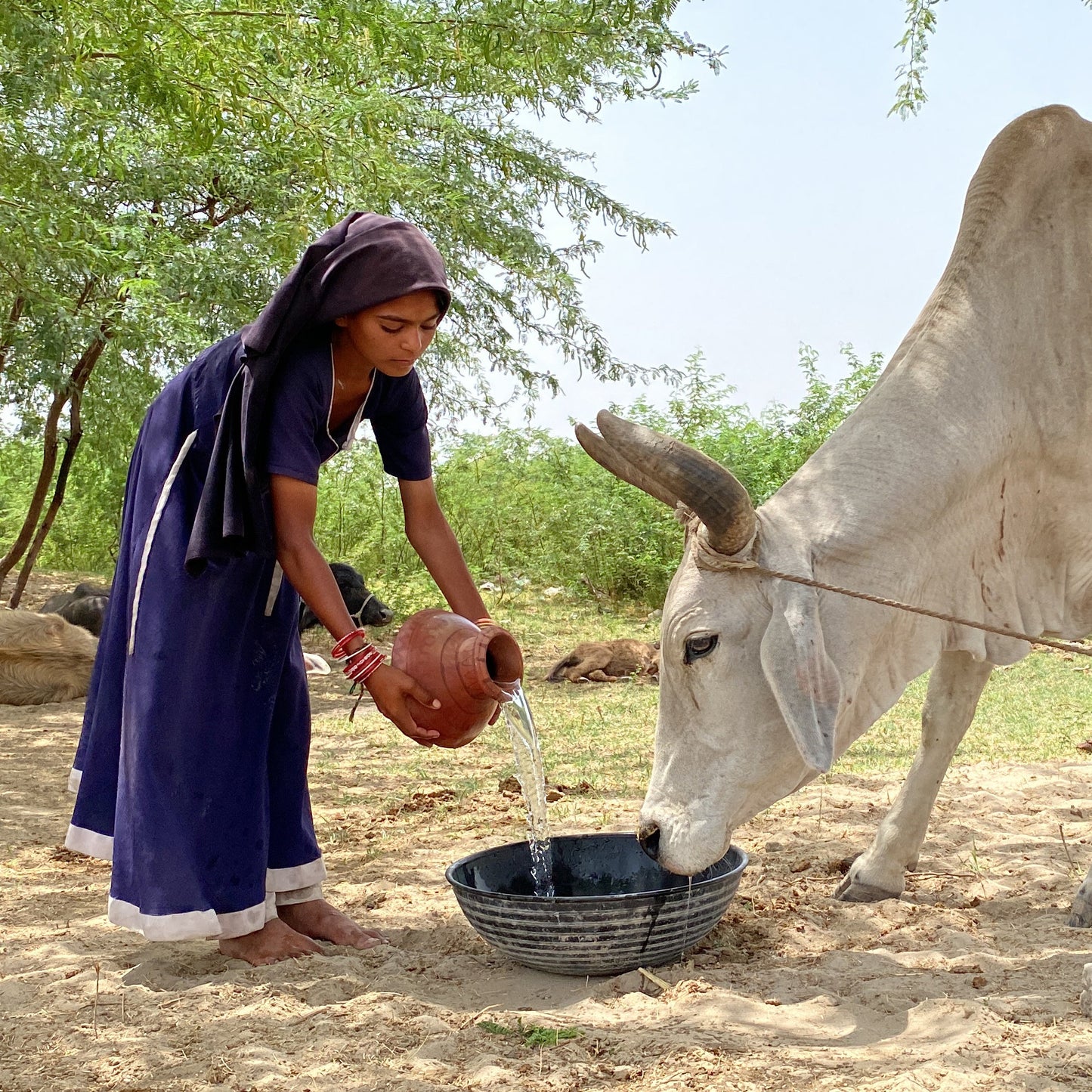 💧 Muharram Water Well – Get Instant Updates!