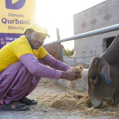Donate Qurbani Directly - Get Instant Updates!