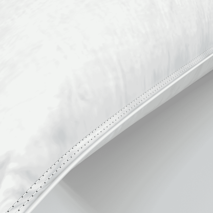 Luxury Duck Feather & Down Pillow Pair
