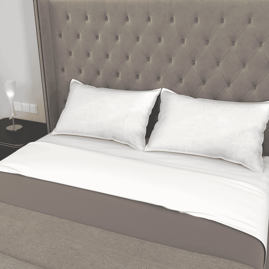 Luxury Duck Feather & Down Pillow Pair